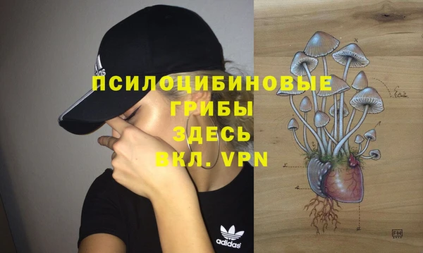 синтетический гашиш Гусь-Хрустальный