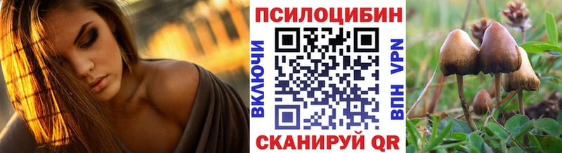 Псилоцибиновые грибы Magic Shrooms  Купить закладки  Кондрово 